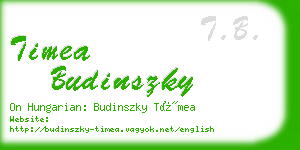timea budinszky business card